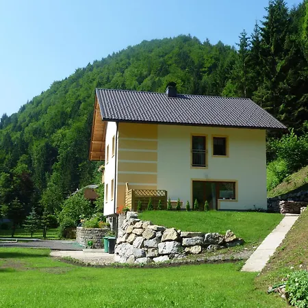 Felsenblick In *